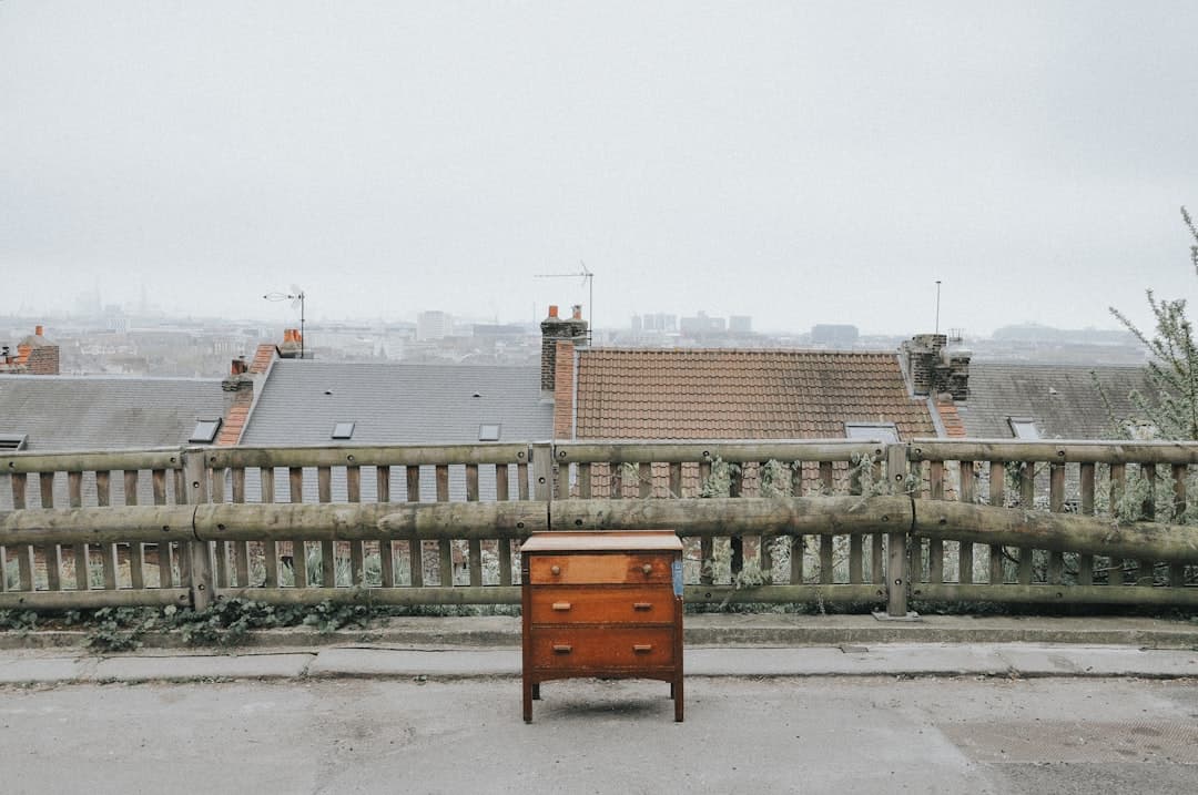 We found this piece of furniture in the middle of the road so we staged this photo a little and placed it here so we can have the city in the background.